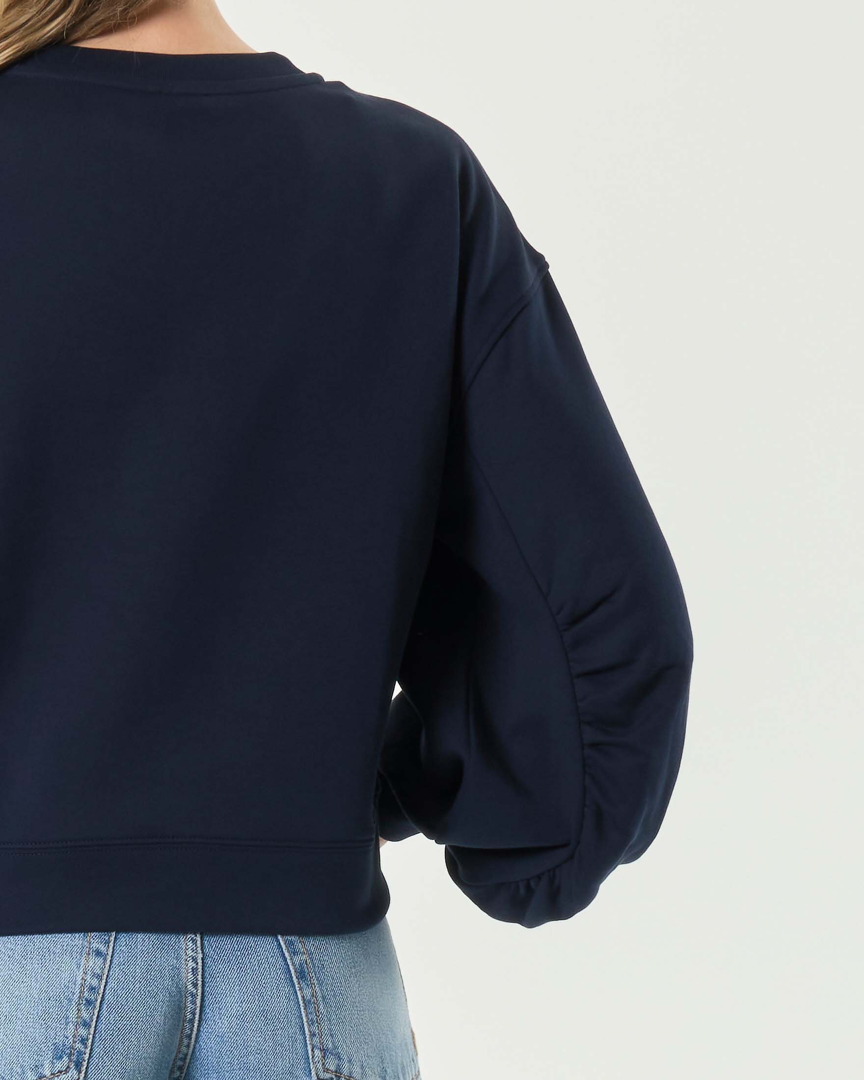 Felpa girocollo blu Pinko boxy-fit in cotone con ricamo gioiello Love Birds sul petto