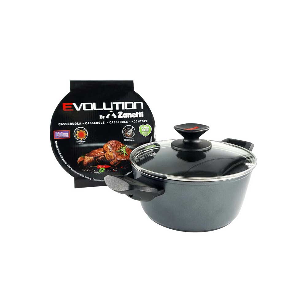 Zanetti Casseruola Evolution Con Coperchio Diametro 24 Cm