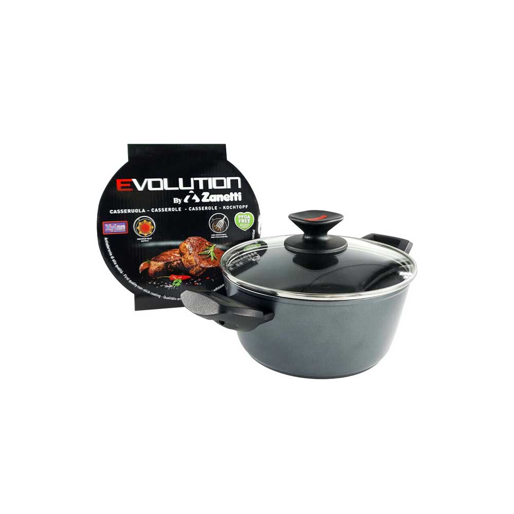 Zanetti Casseruola Evolution Con Coperchio Diametro 20 Cm
