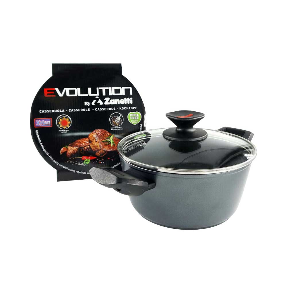 Zanetti Casseruola Evolution Con Coperchio Diametro 16 Cm