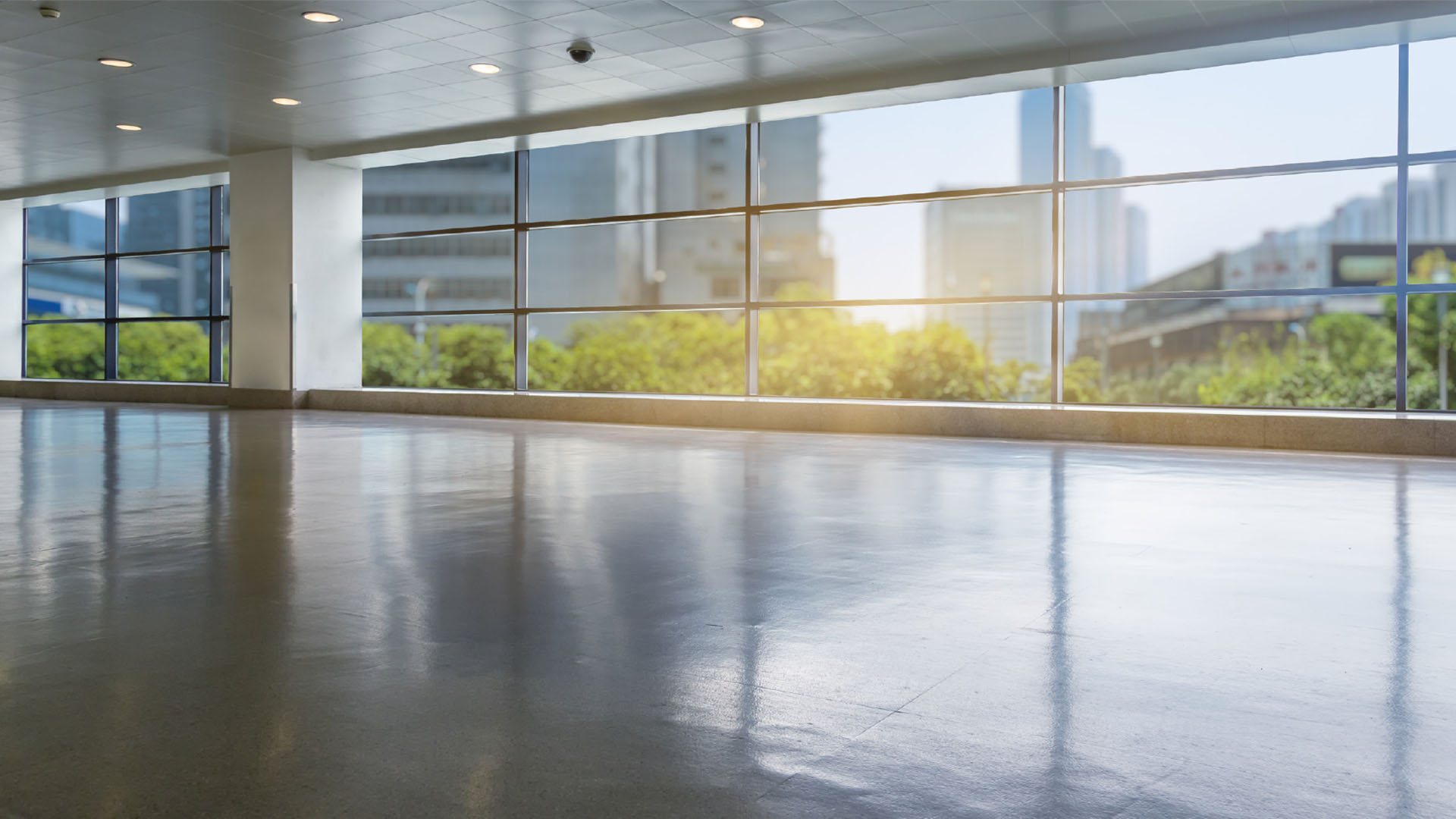 Re-Vive by Novacolor