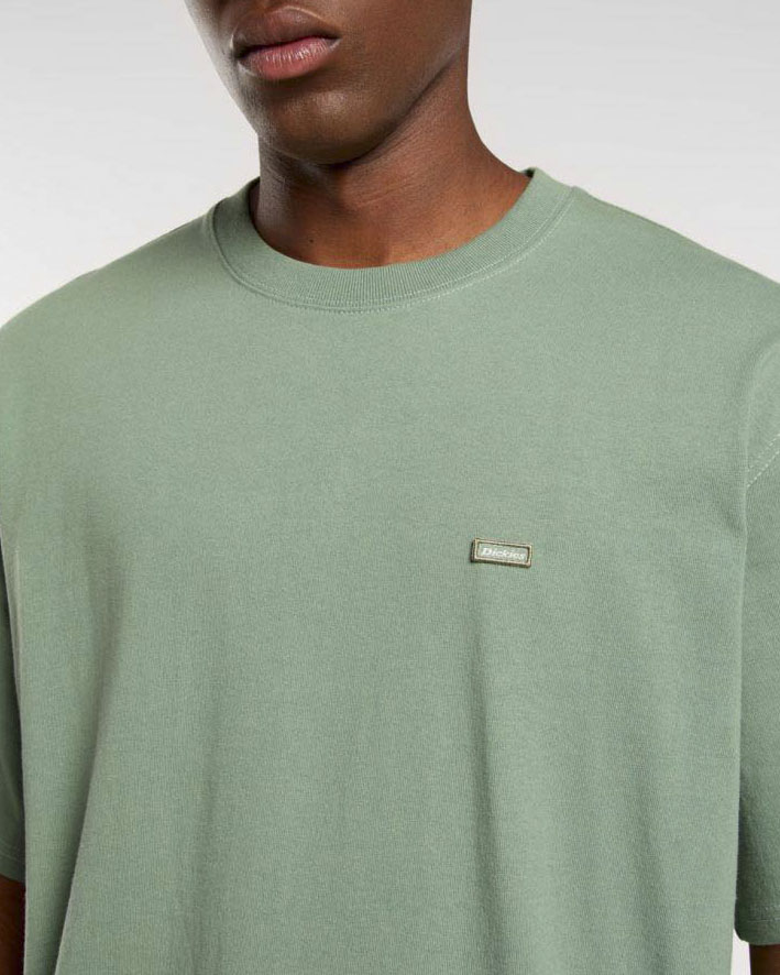 T-shirt Dickies salvia relaxed fit in cotone pesante