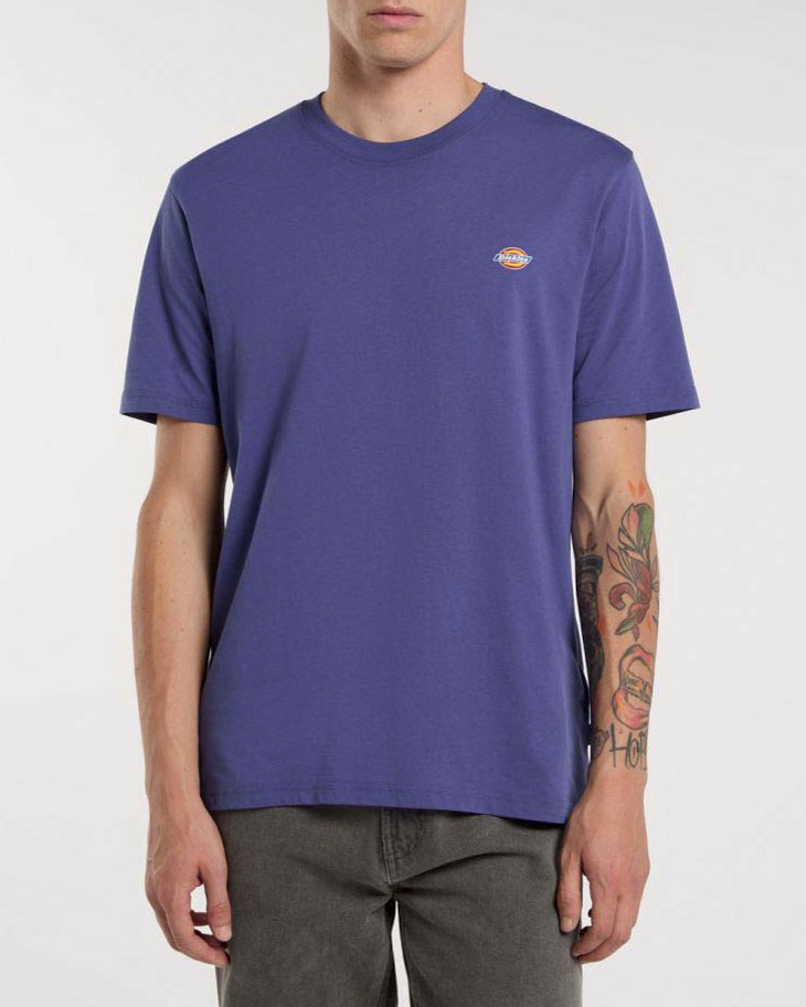 T-shirt avio Dickies mezza manica in jersey di puro cotone con stampa logo sul petto