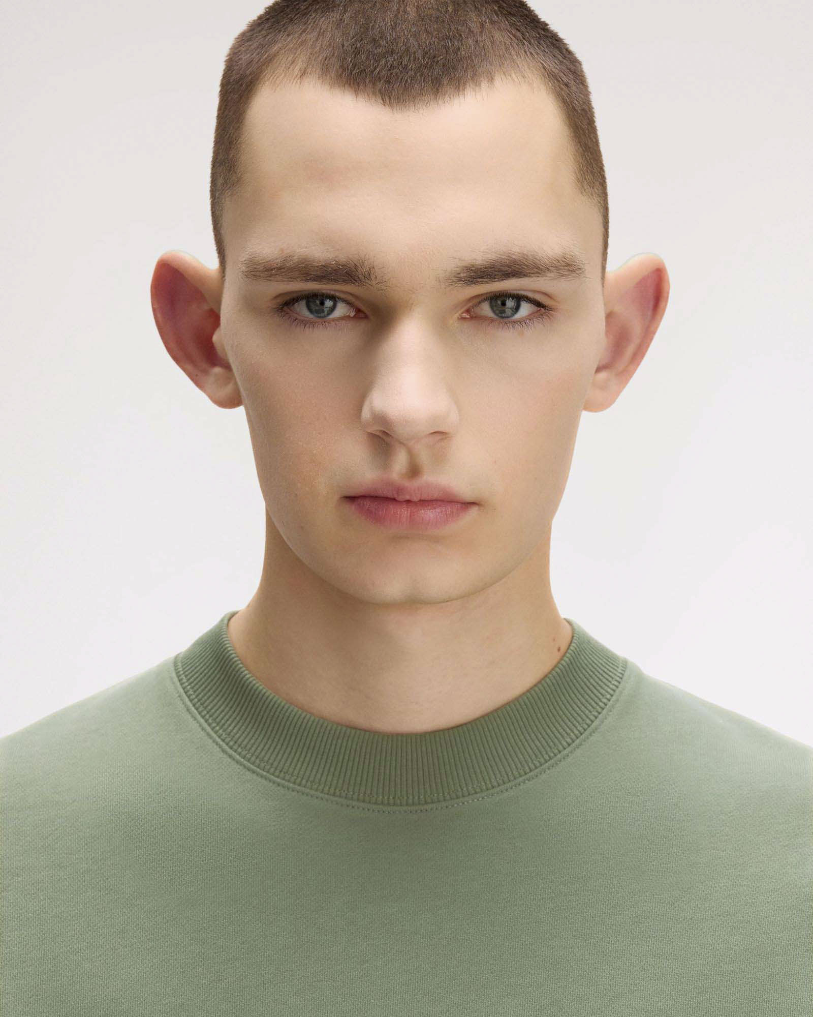 Felpa girocollo Fred Perry verde salvia con bordino blu sulla manica