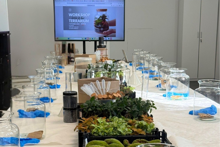 Sala dedicata al Workshop Terraviva Design con mini presentazione video