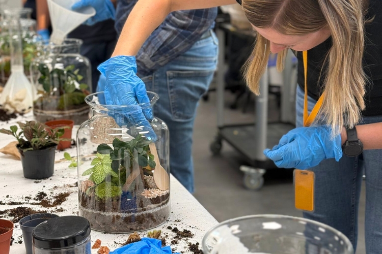 Partecipanti al lavoro durante il Workshop Terraviva Design