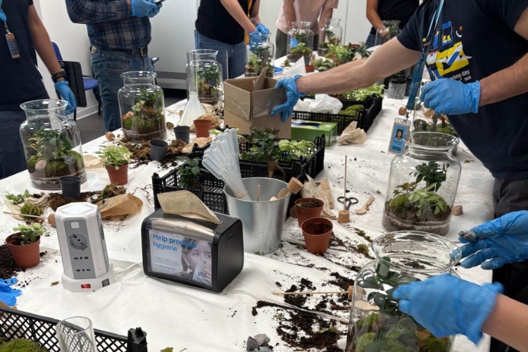 Attività pratiche dei partecipanti al Workshop Terraviva Design