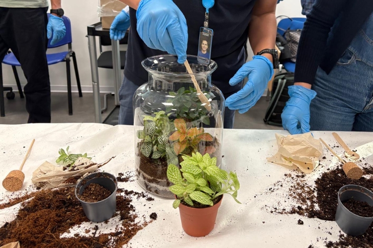 Ritocchi al Terrario Nano Garden durante il Workshop Terraviva Design