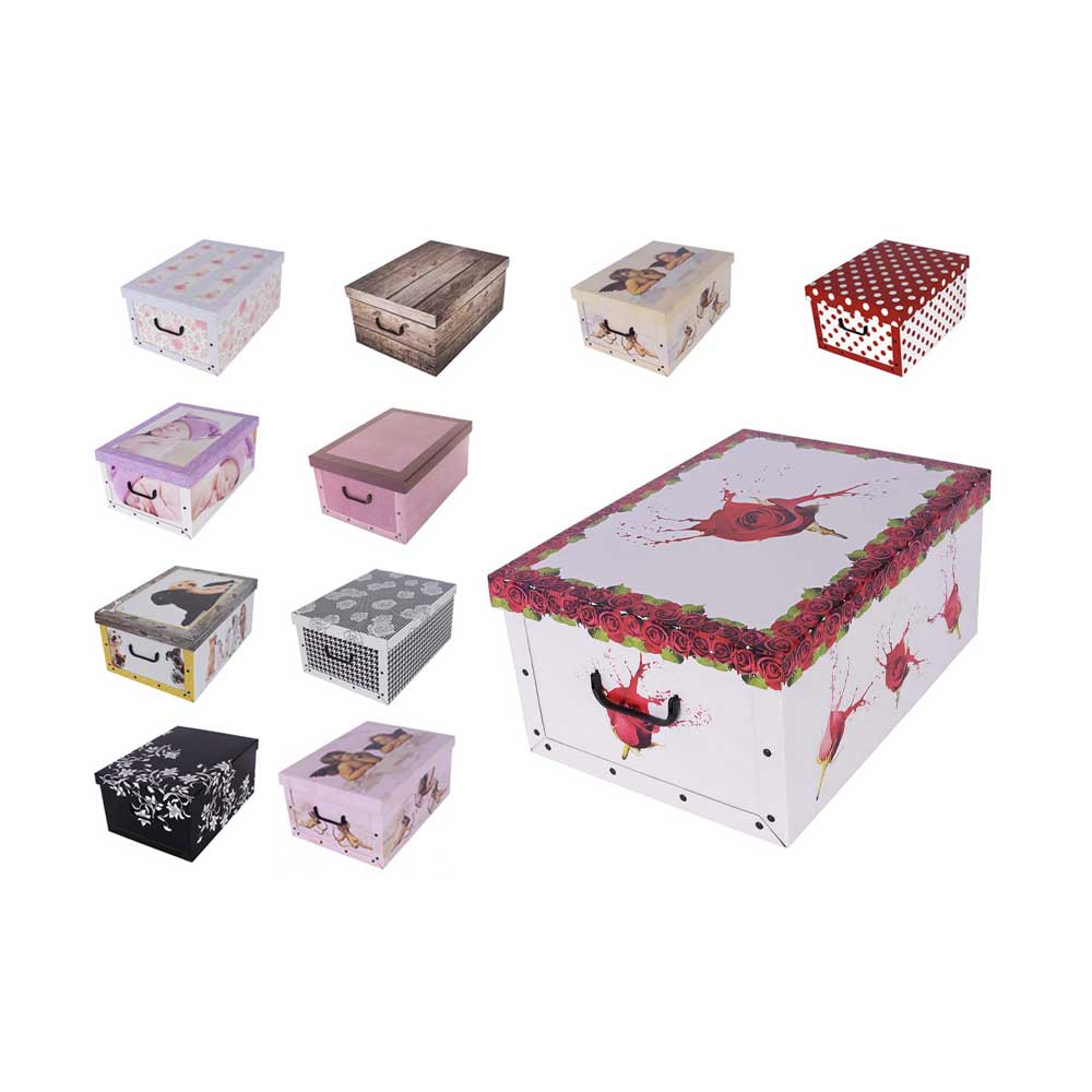 Miss Space Bauletto Per Cambio Stagione In Cartone Con Manici 51x37x24h Cm Disegni Assortiti 