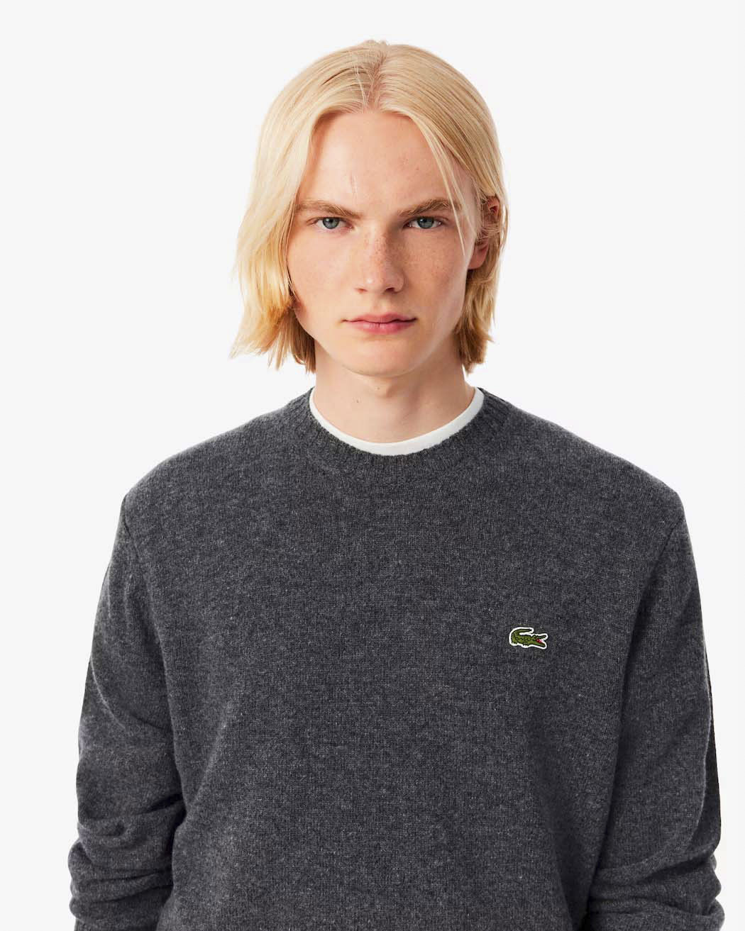 Maglia girocollo Lacoste grigio antracite in lambswool di pura lana image