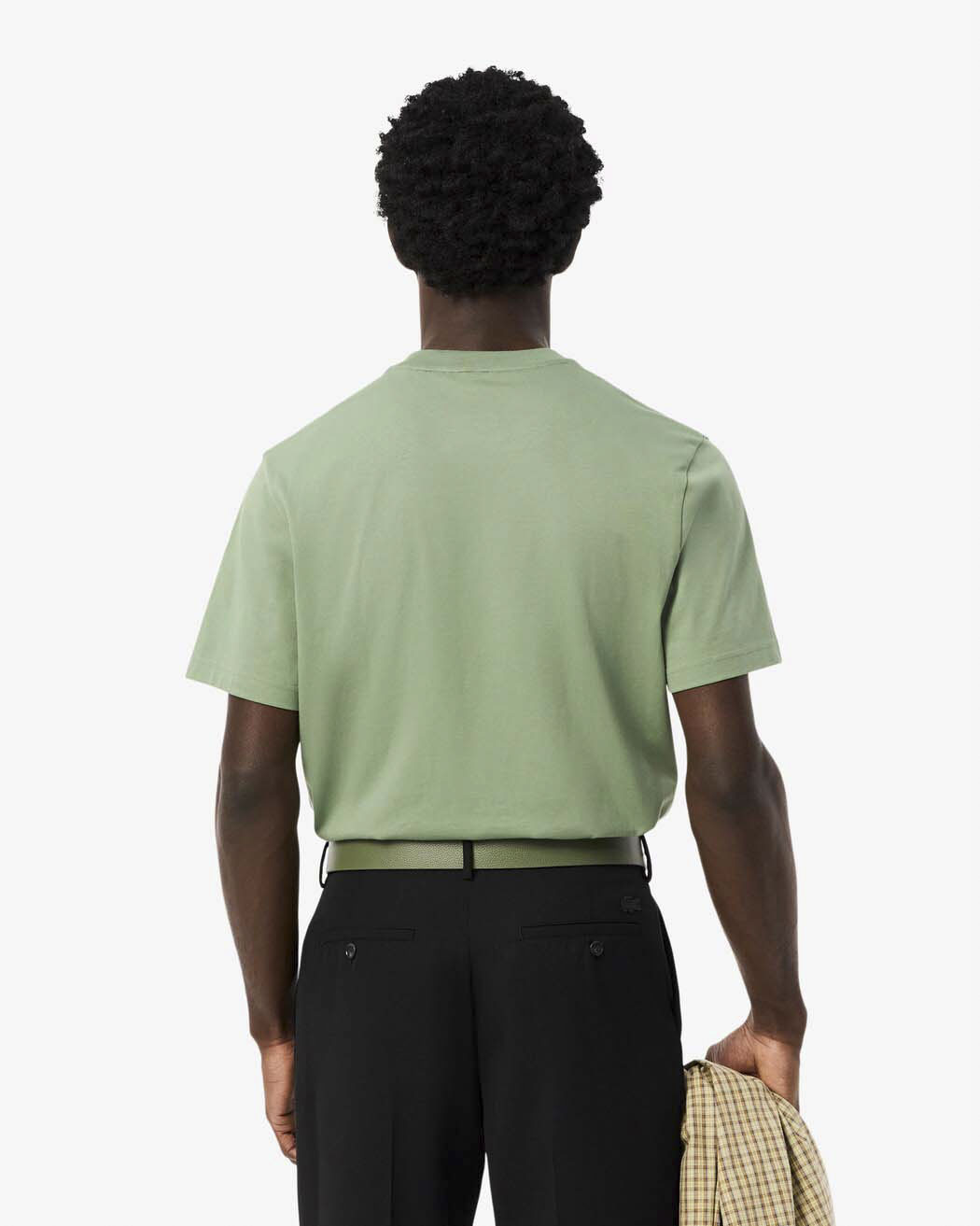 T-shirt Lacoste verde salvia mezza manica in puro cotone classic-fit image