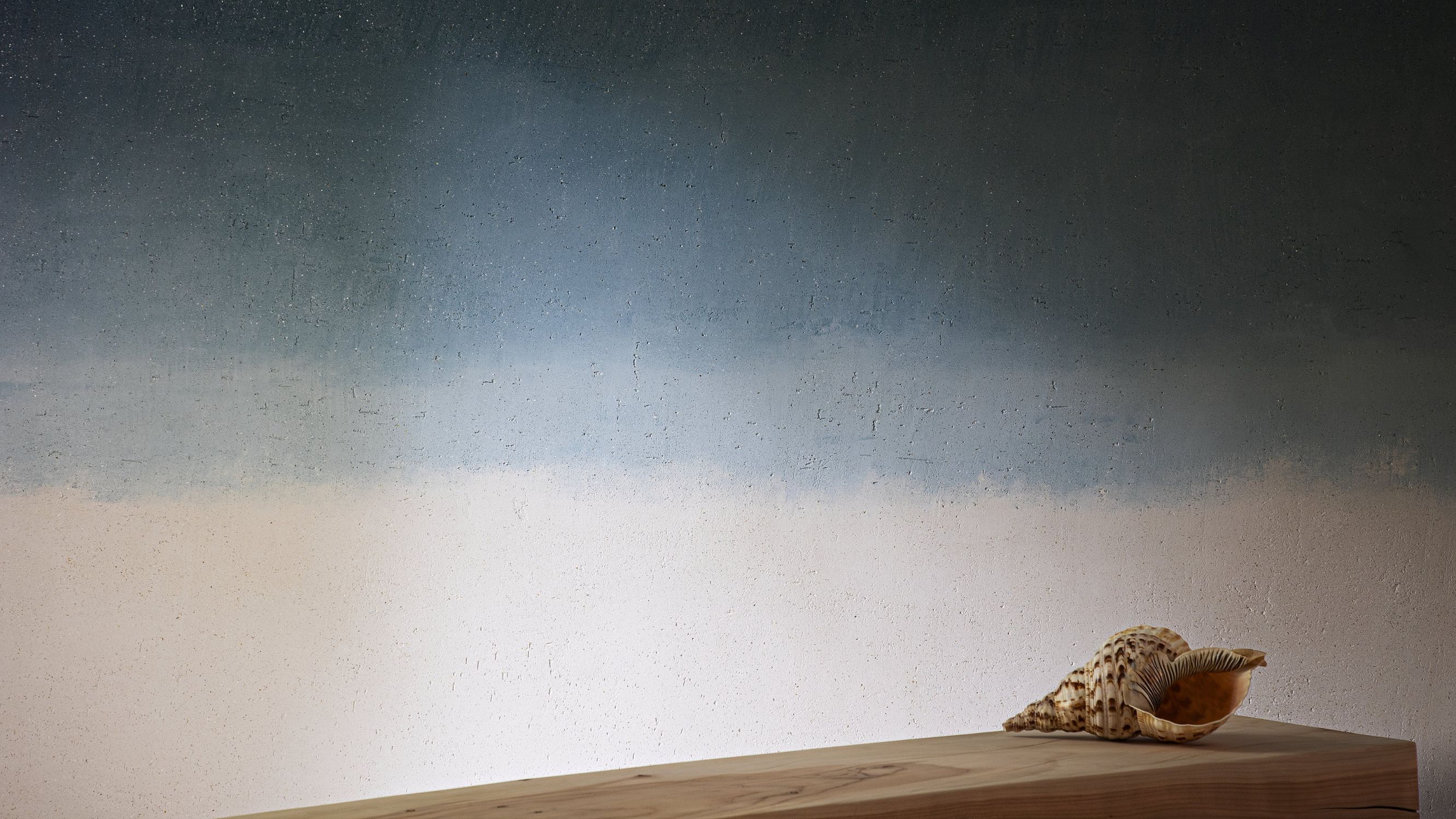 Materia Viva Conchiglia