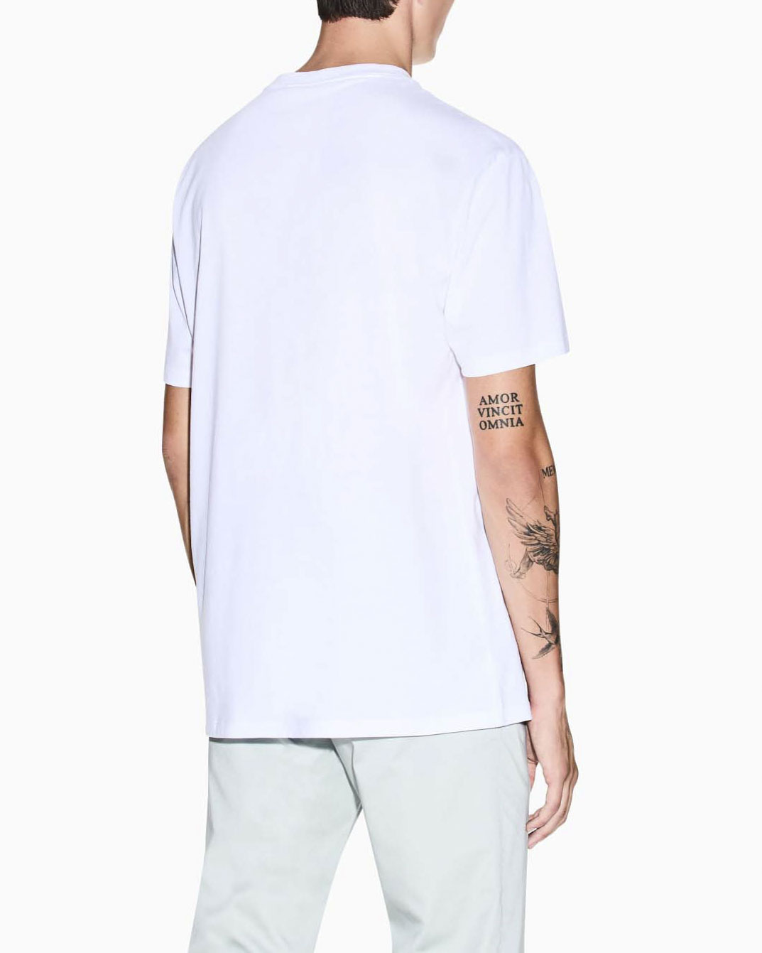 T-shirt Armani Exchange bianca in cotone con patch logo applicato sul petto image