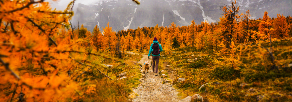 Senderismo en otoño: mejores destinos y consejos para caminar entre colores 