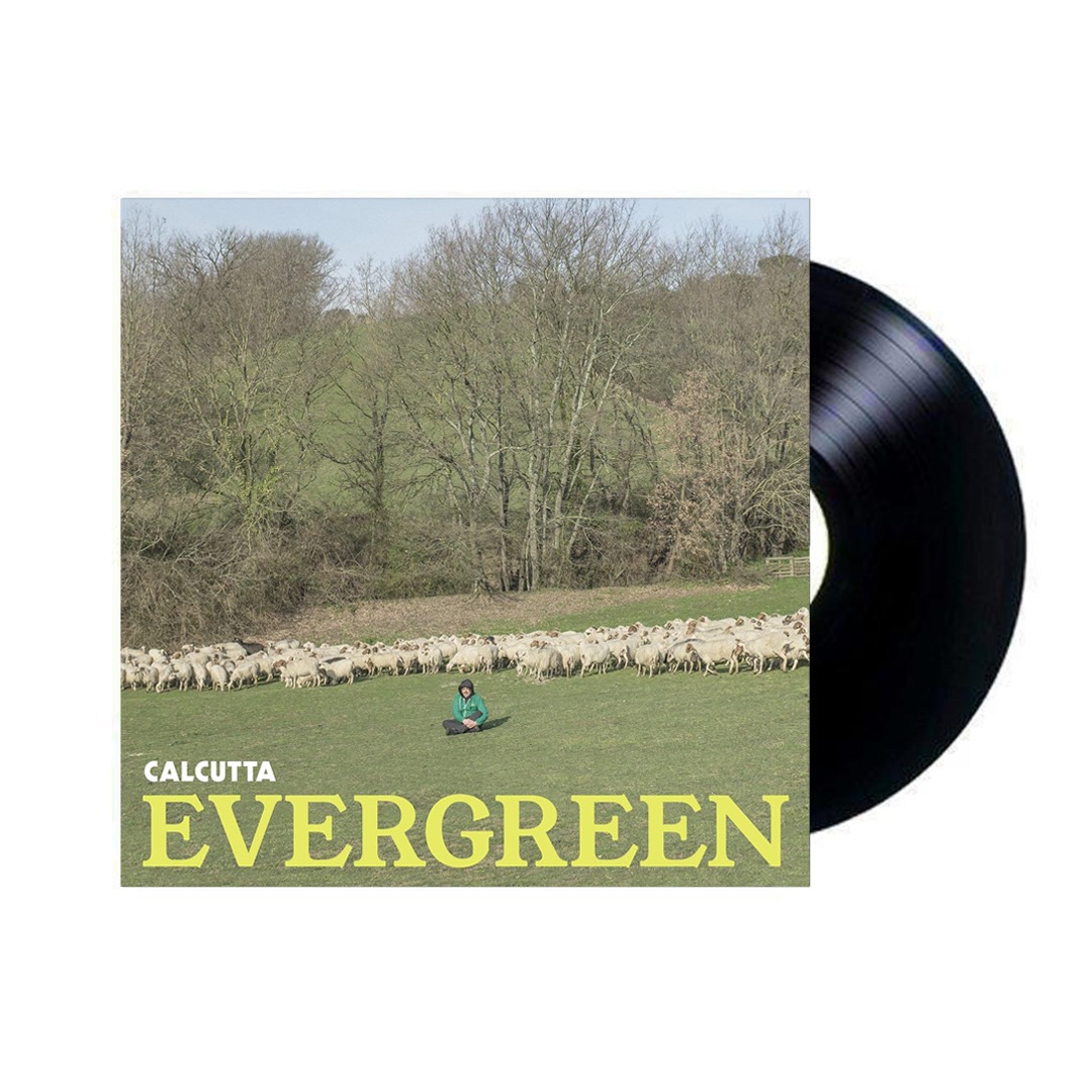 Calcutta - Evergreen...e altre canzoni