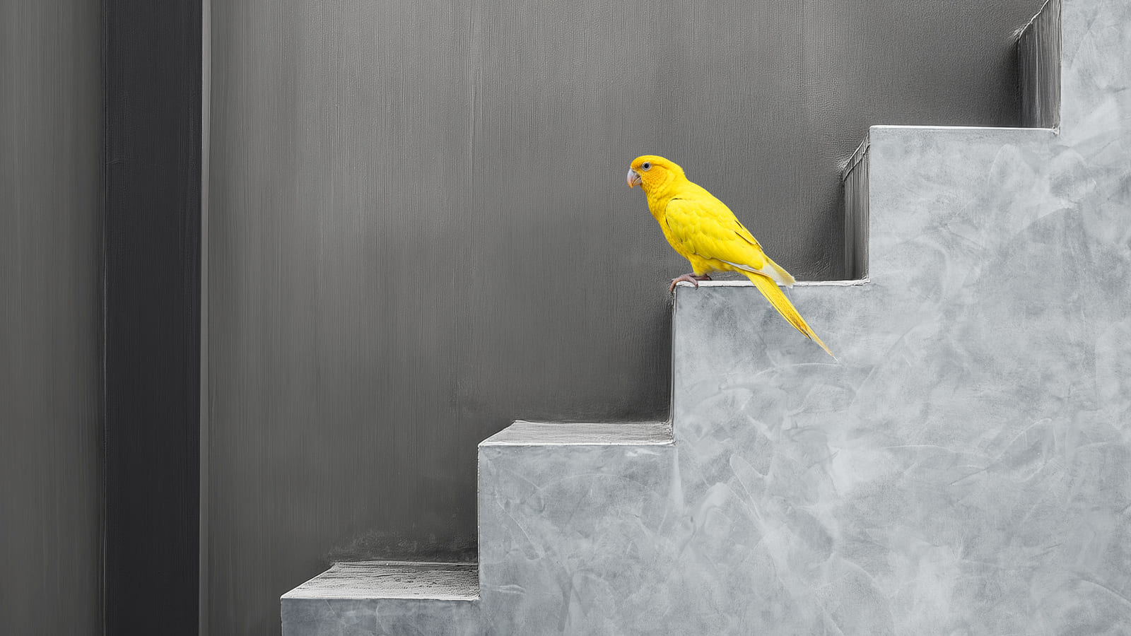 Novacolor color trends 2026