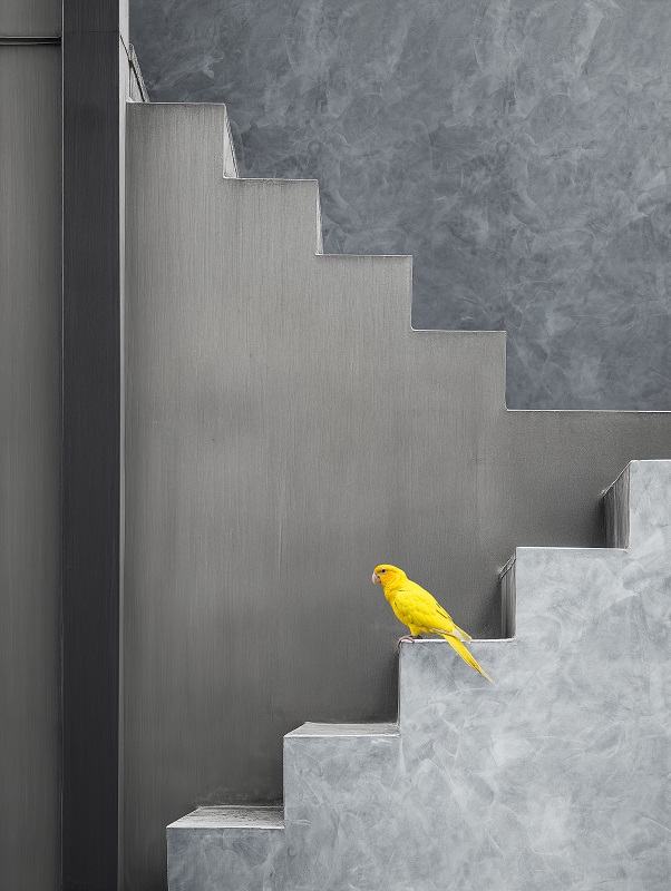 Novacolor color trends 2026