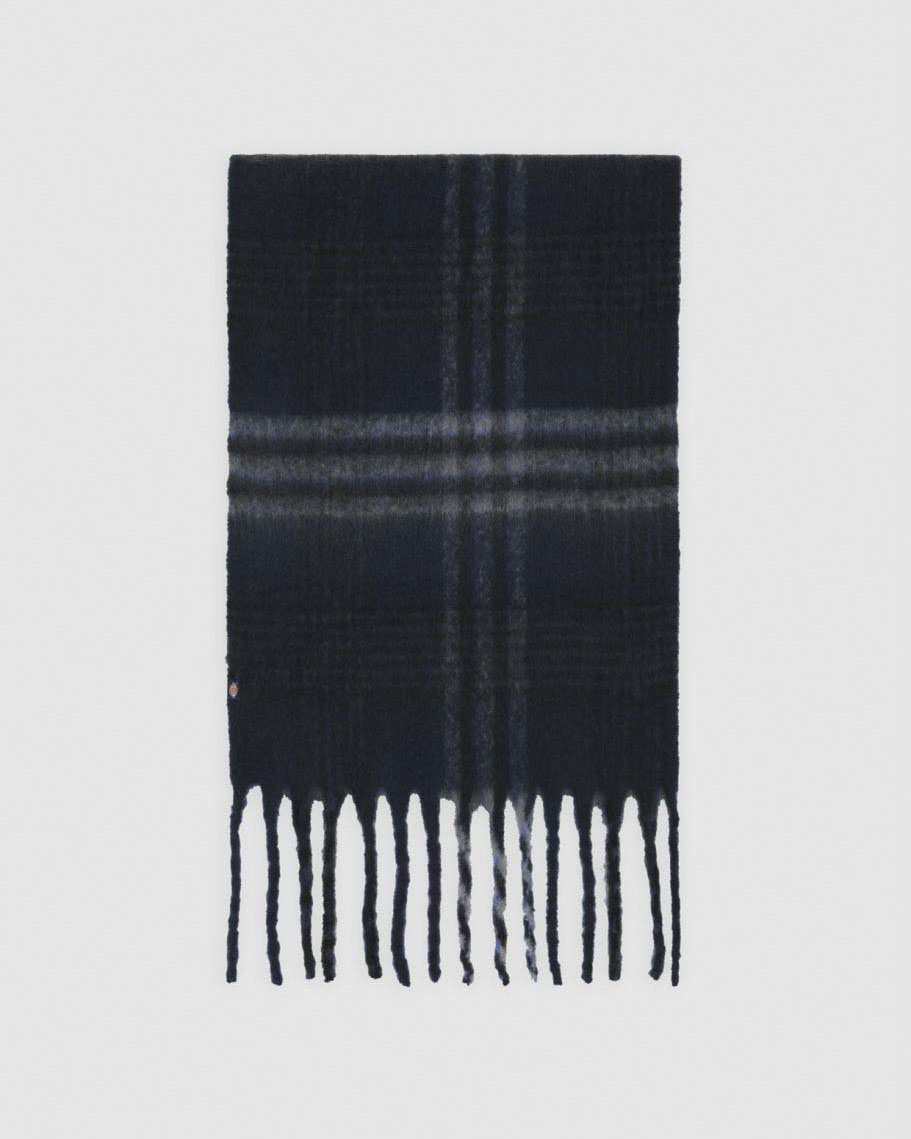 Sciarpa blu in fantasia check