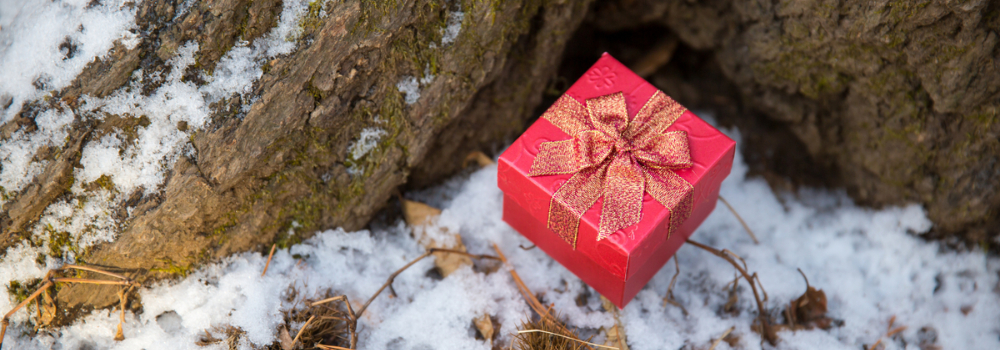 Regali da fare per Natale: i regali per sportivi e per chi ama il trekking 