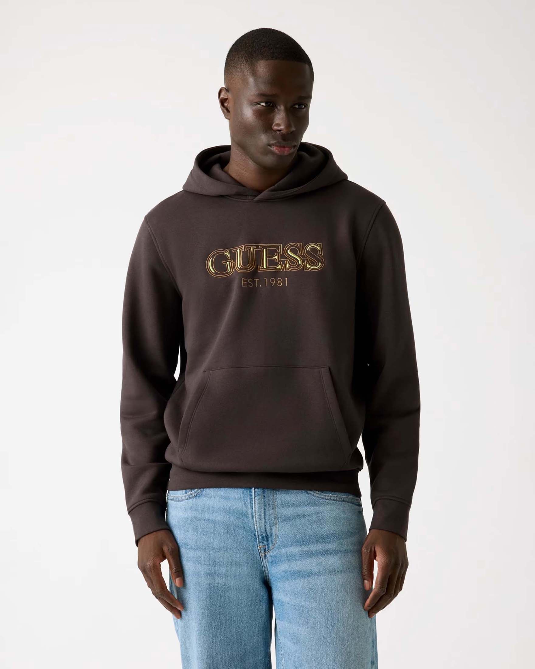 Felpa con cappuccio Guess marrone in misto cotone con logo ricamato sul davanti image