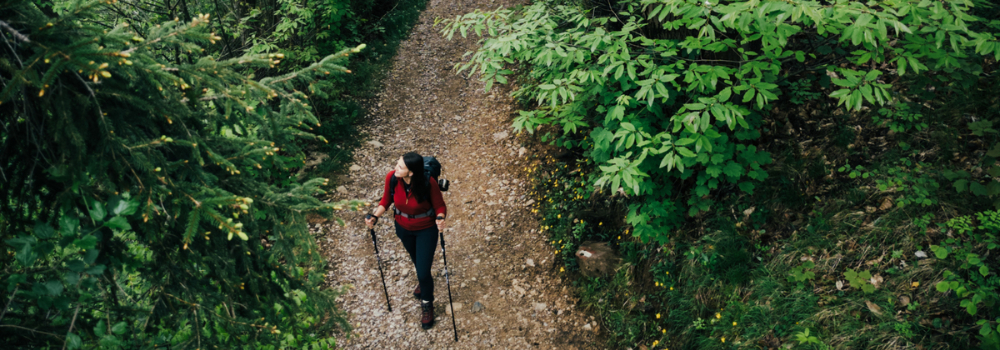 Rutas senderismo Madrid fáciles: ideas para desconectar sin alejarte 