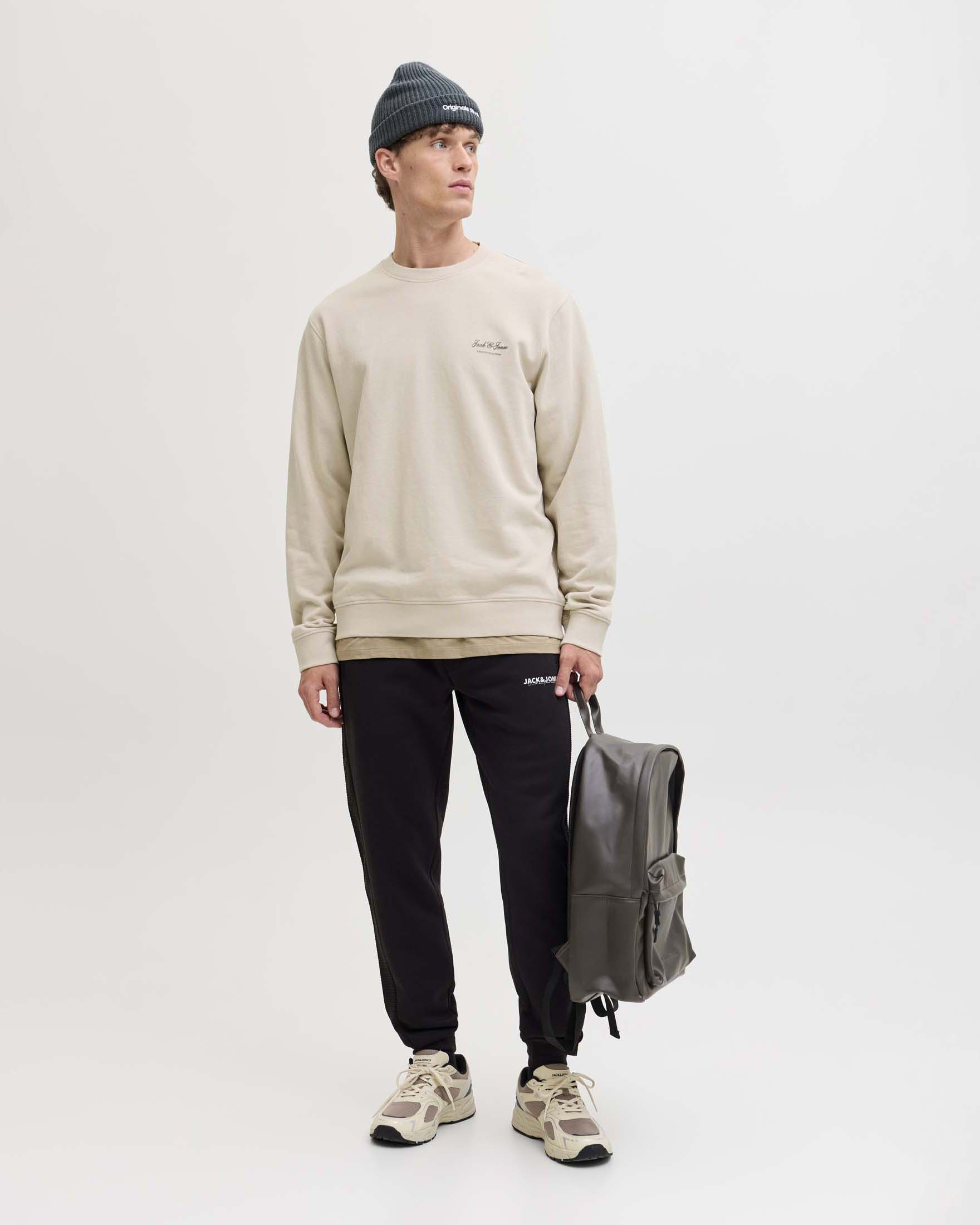 Felpa girocollo beige in misto cotone biologico Jack & Jones