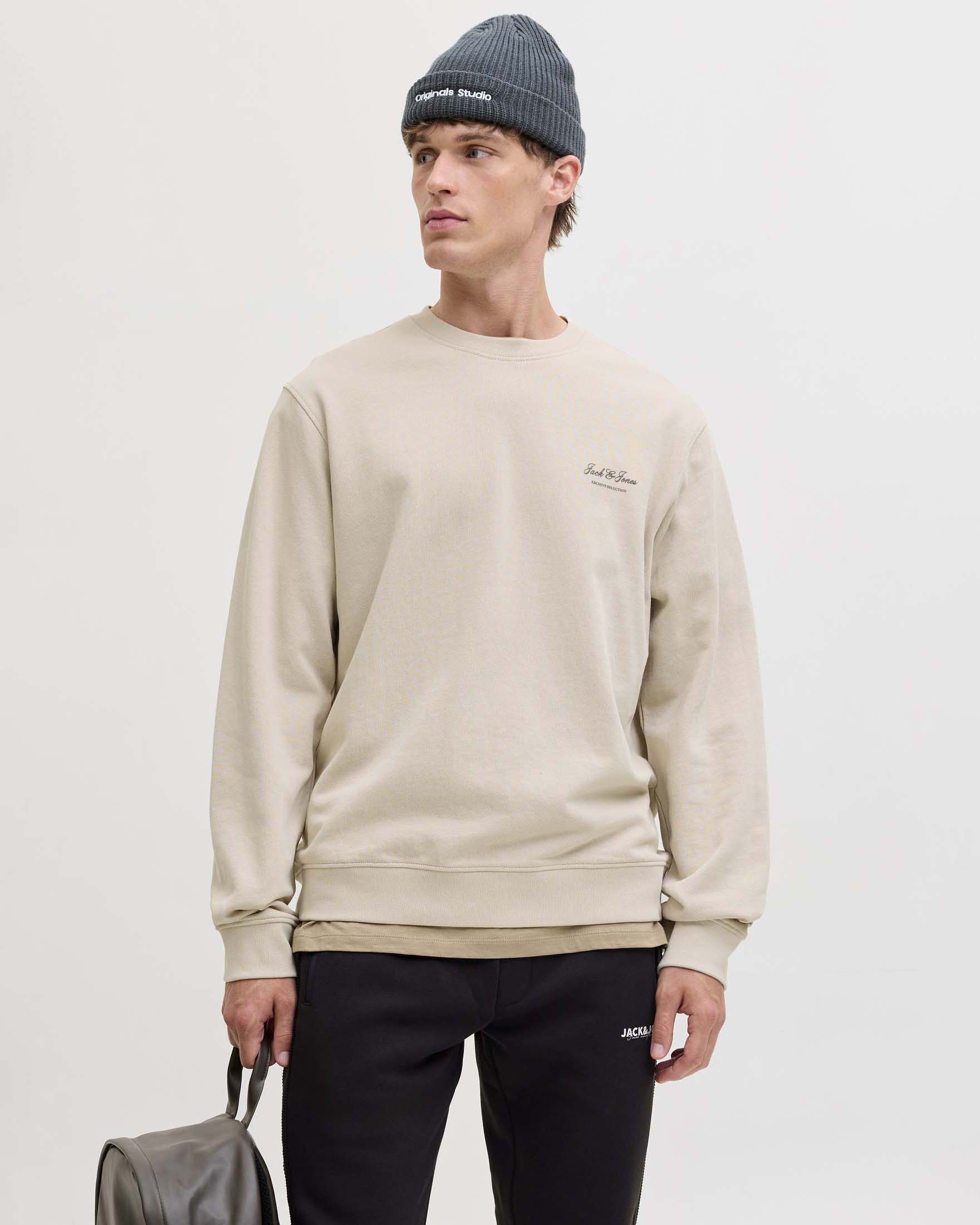 Felpa girocollo beige in misto cotone biologico Jack & Jones image