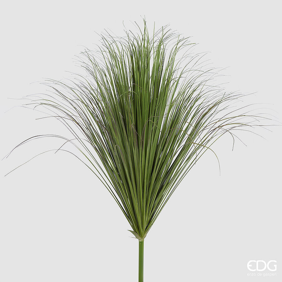 Festuca Cespuglio h.110 Edg