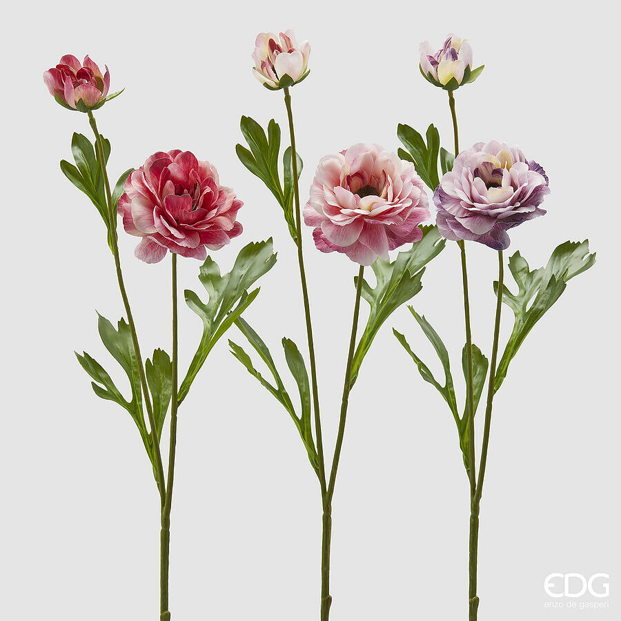 Anemone Ramo con Foglie 3A h.65 Edg