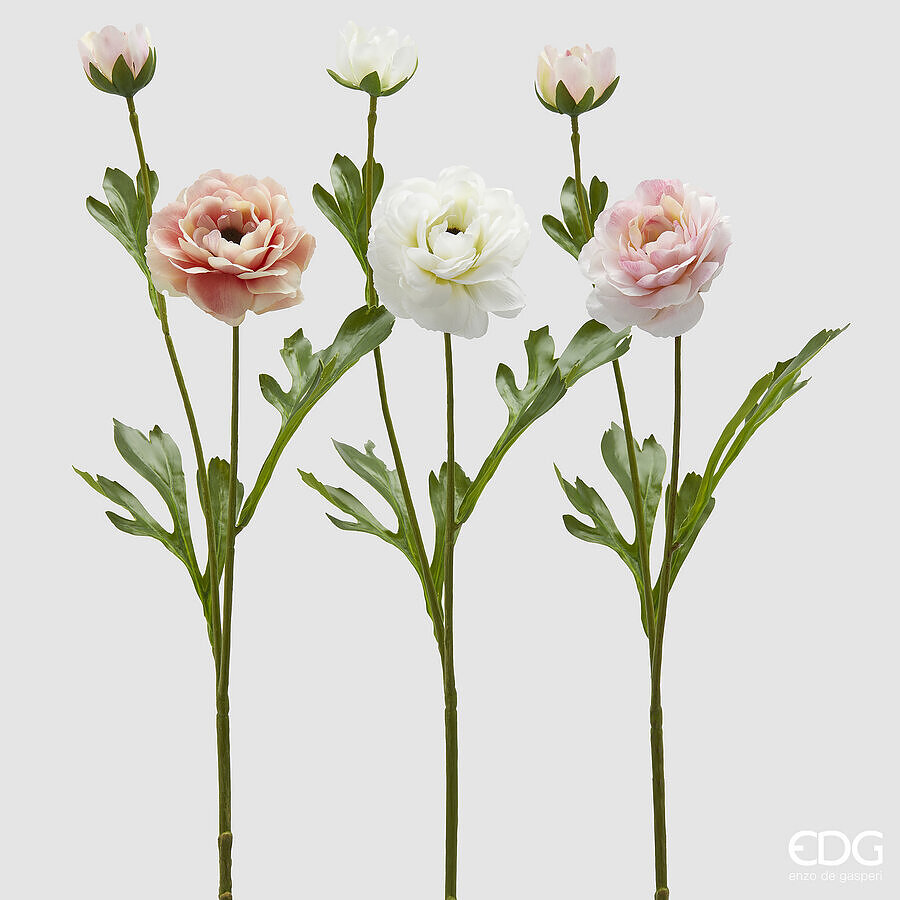 Anemone Ramo con Foglie 3A h.65 Edg