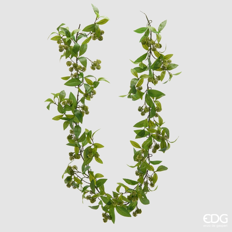 Viburno Festone h.183 Edg