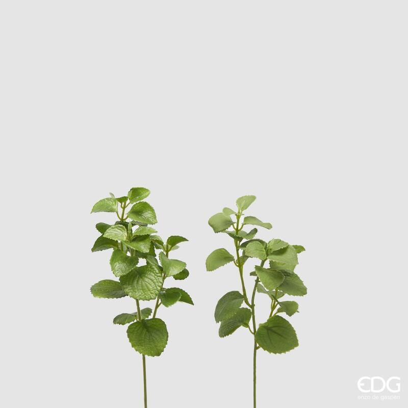 Melissa Pick 2A h.28 Edg