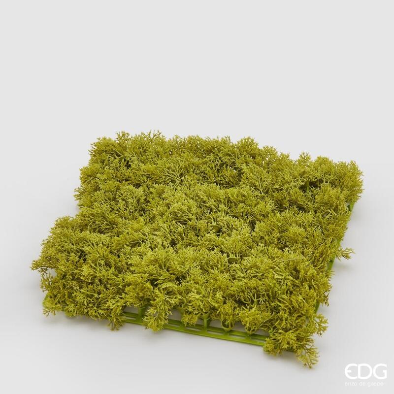 Muschio Lichene Tappeto 25x25 Edg