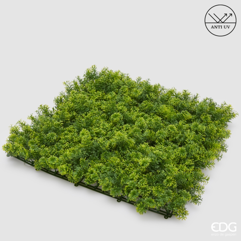 Muschio Ciuffi Siepe Anti-UV 50x50 Edg