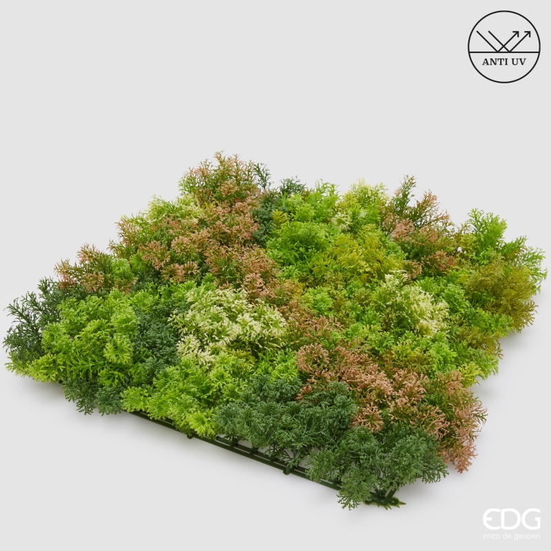 Muschio Ciuffi Siepe Anti-UV 50x50 Edg