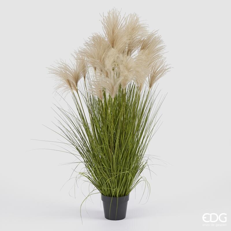 Festuca con Vaso h.140 Edg