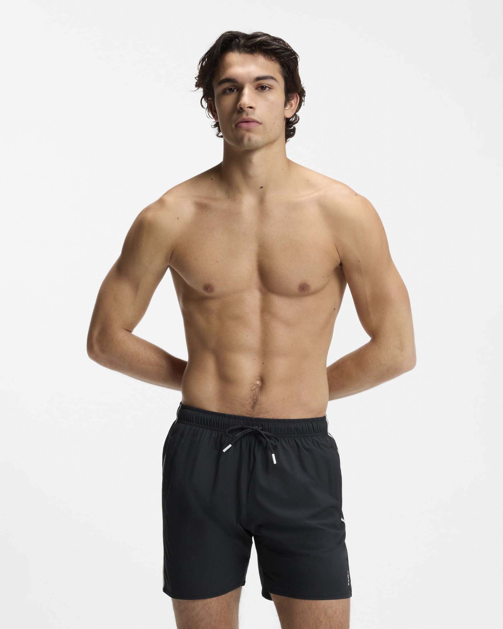 Boxer mare nero con banda tricolore a lato