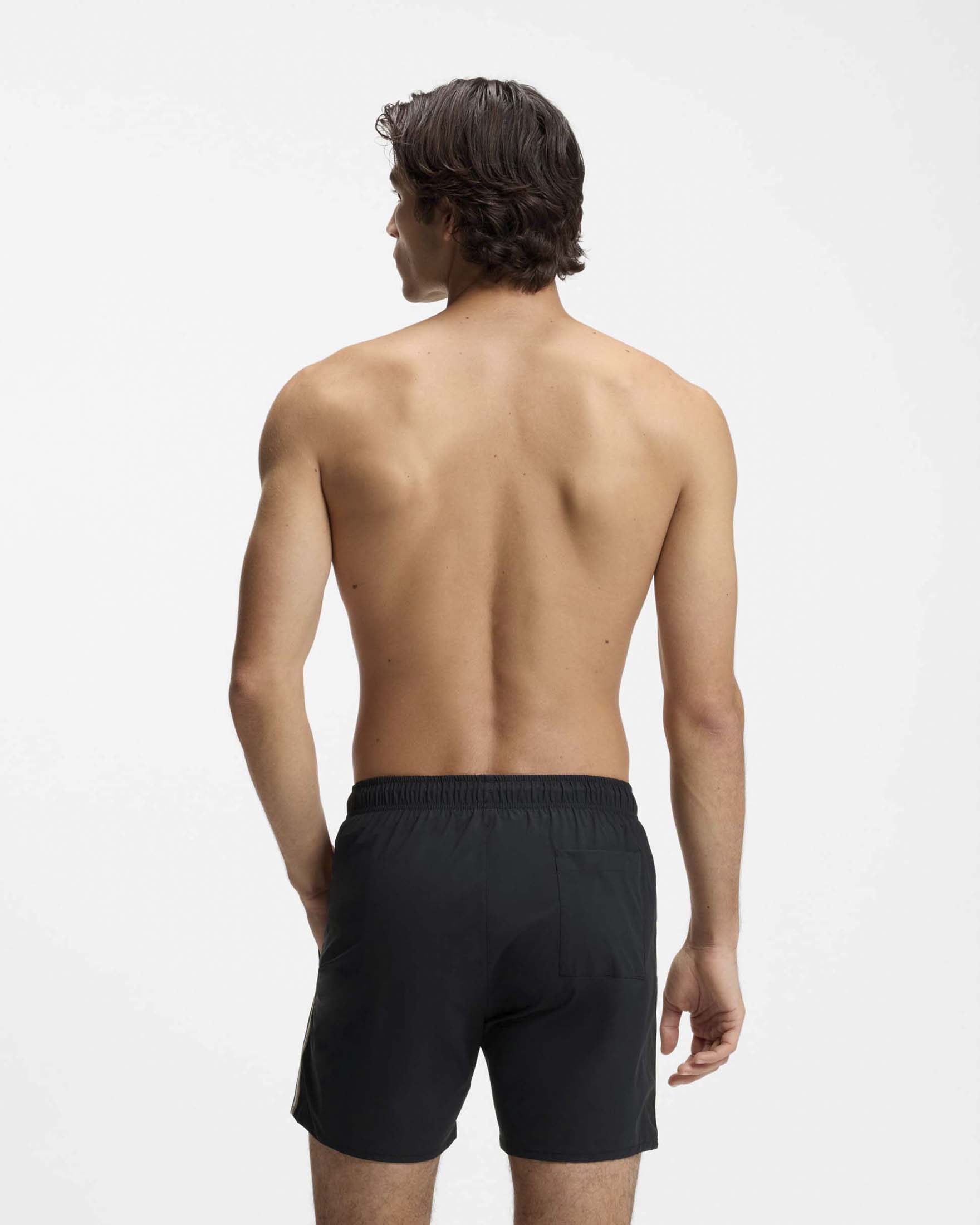 Boxer mare nero con banda tricolore a lato image