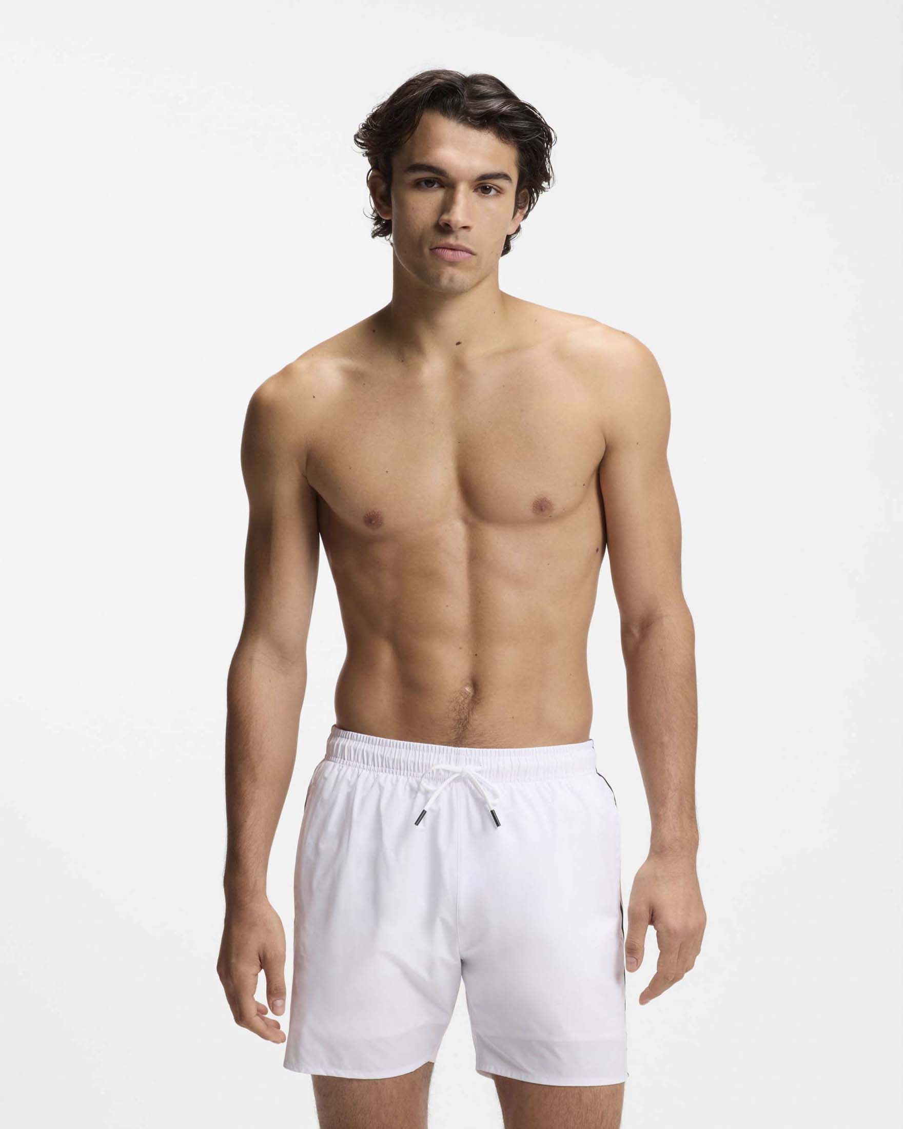 Boxer mare bianco con banda tricolore a lato