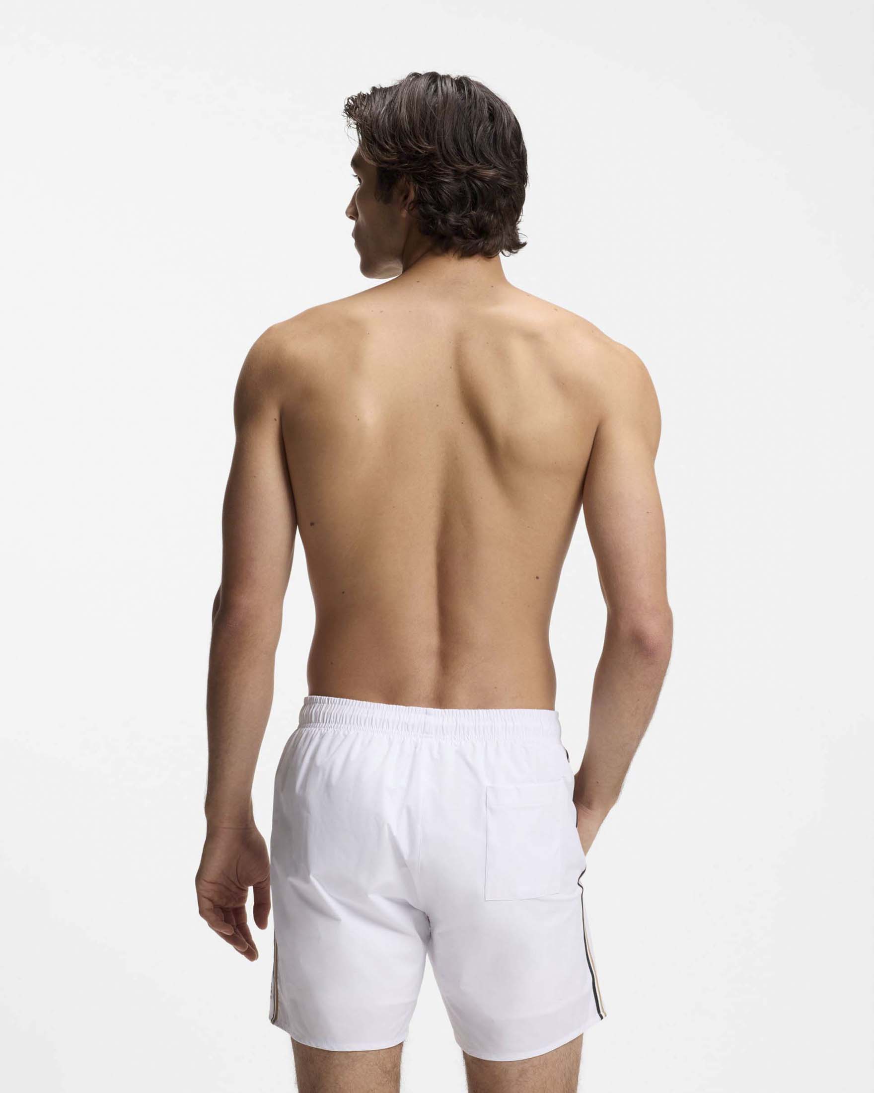 Boxer mare bianco con banda tricolore a lato image