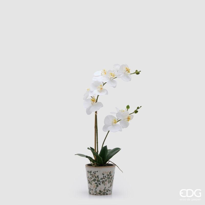 Orchidea Phalaenopsis con Foglie e Vaso Bianca h.60 Edg
