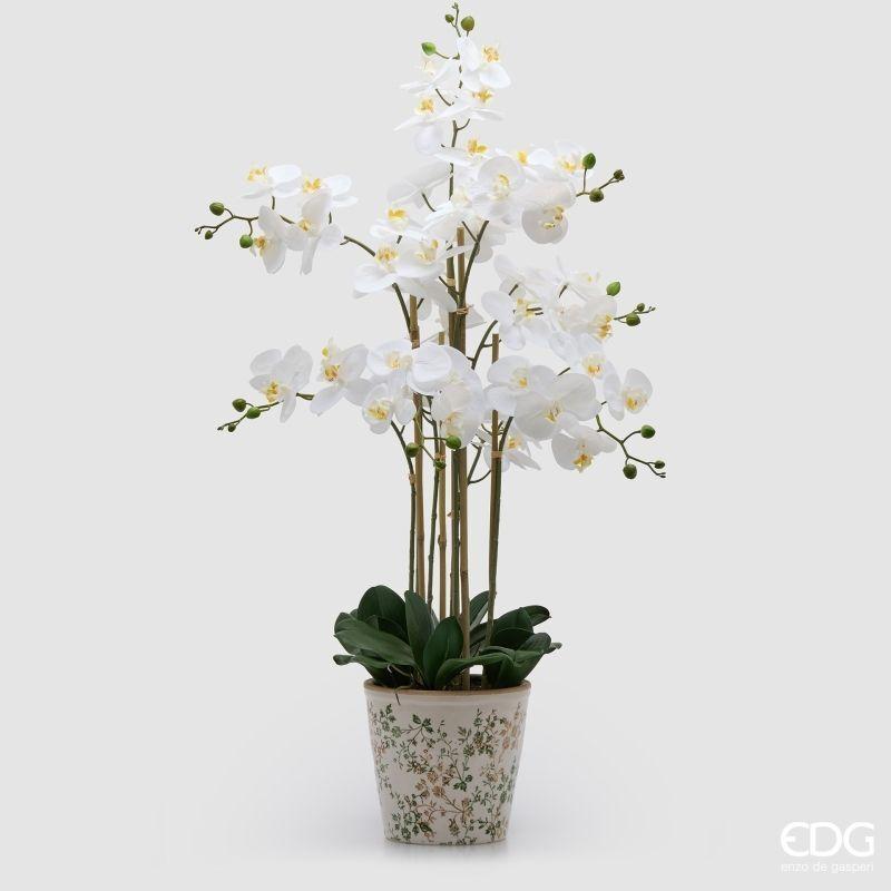 Orchidea Phalaenopsis con Foglie e Vaso Verde h.90 Edg