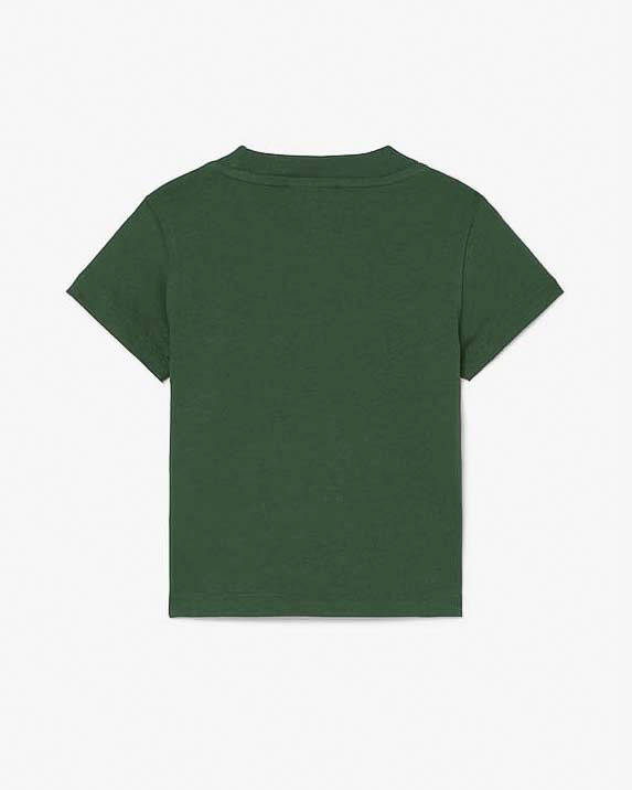 T-shirt Lacoste verde in puro cotone con mini logo coccodrillo image