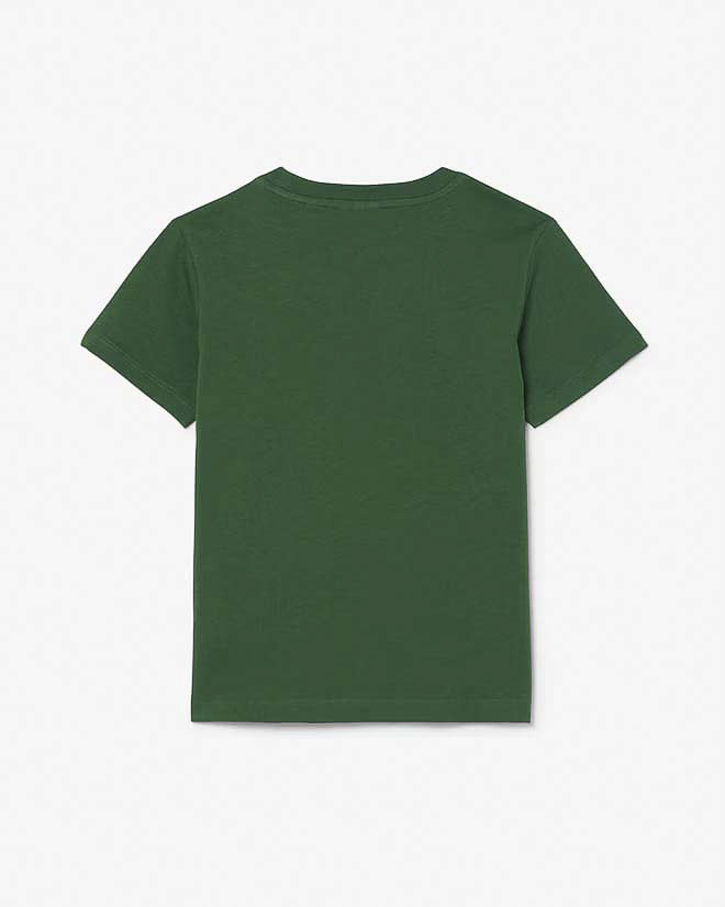 T-shirt Lacoste verde in puro cotone con mini logo coccodrillo image