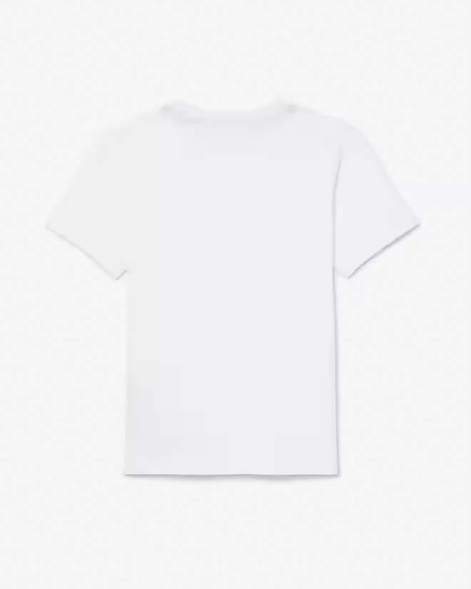 T-shirt Lacoste bianca in puro cotone con mini logo coccodrillo image