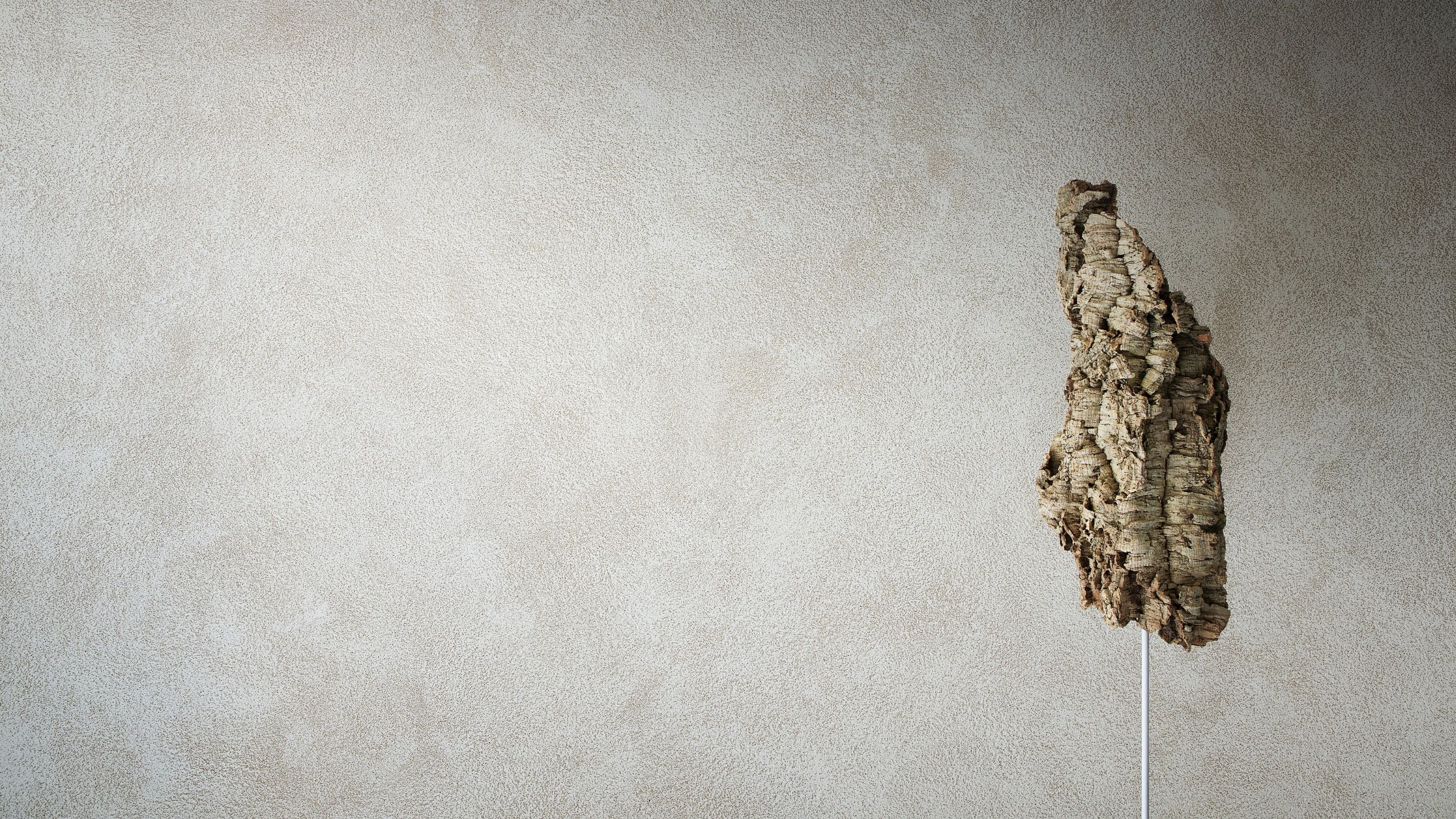 Materia Viva Sughero