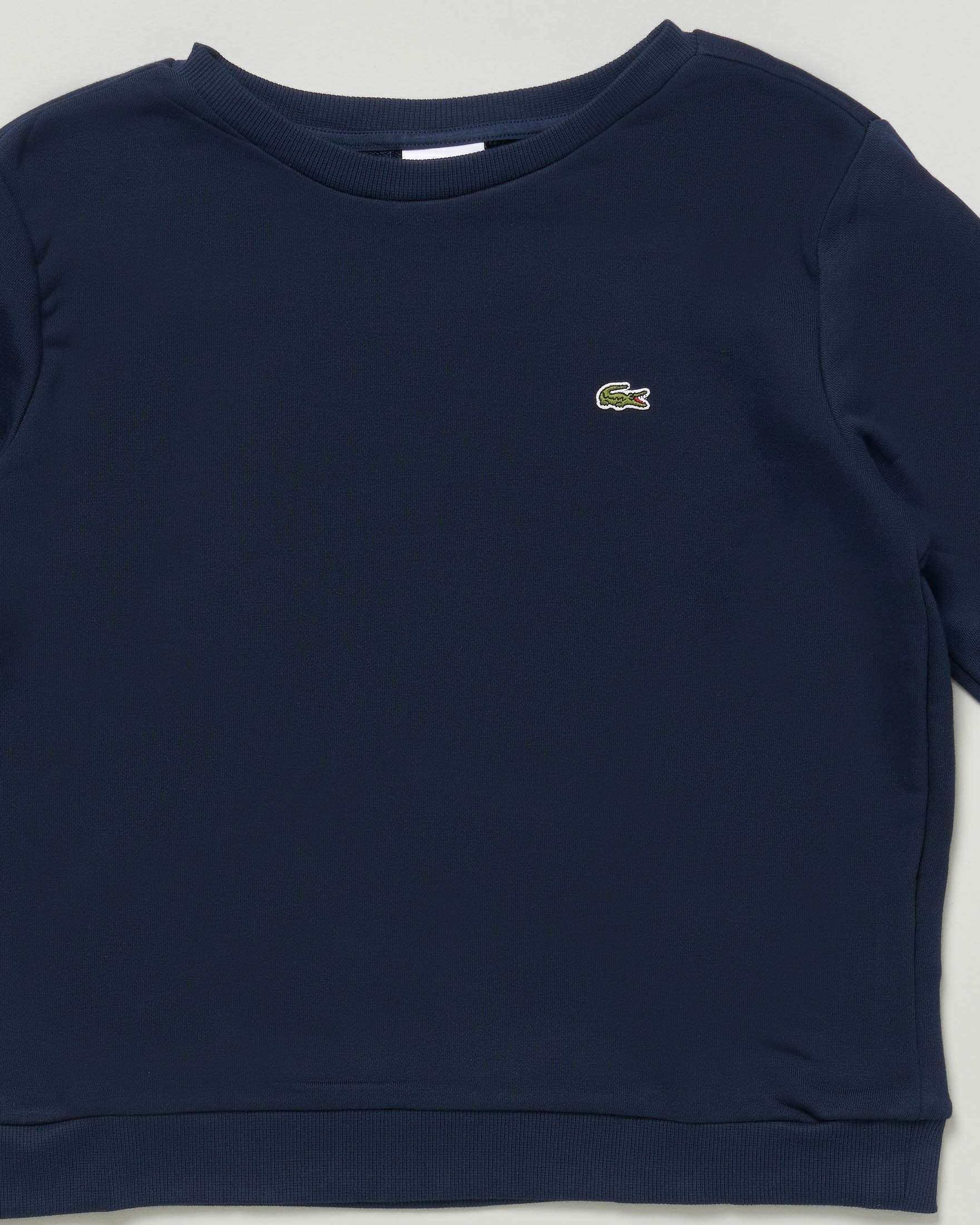Felpa Lacoste blu in cotone garzato con logo icon image