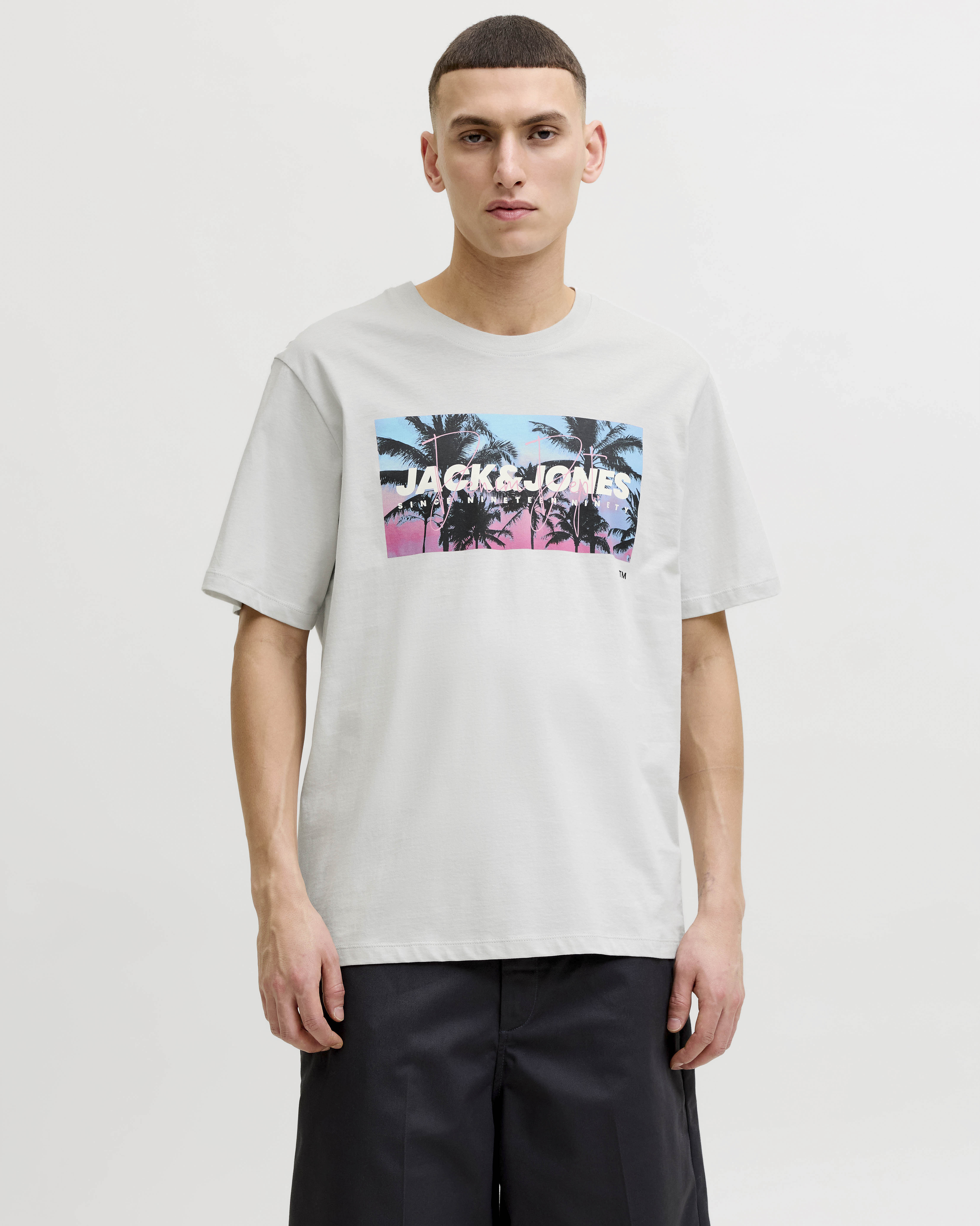 T-shirt mezza manica Jack & Jones grigia in cotone con stampa grafica