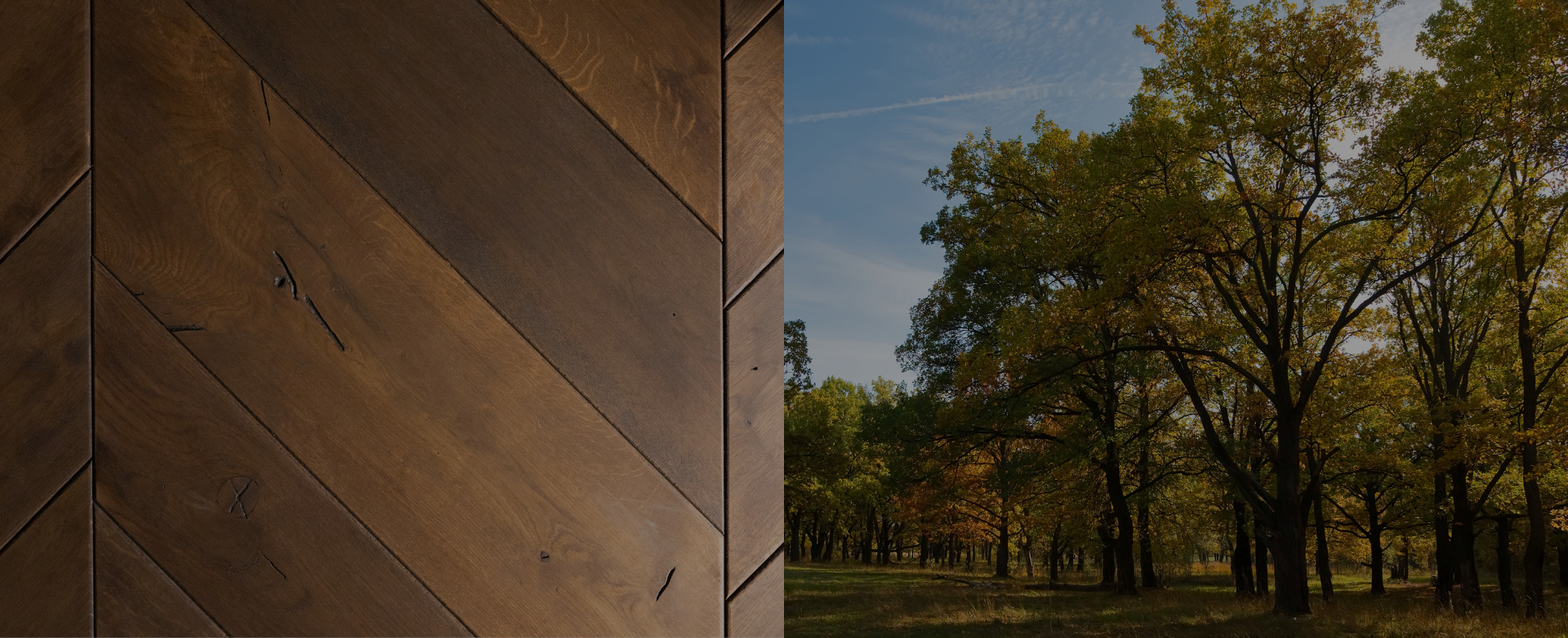 Legno di rovere e quercia per pavimenti, parquet, rivestimenti, soffitti, scale e mobili
