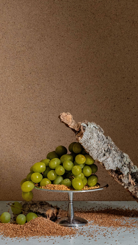 Materia Viva Sughero